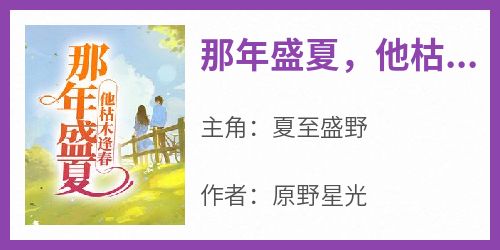 《那年盛夏，他枯木逢春》精彩章节-那年盛夏，他枯木逢春免费阅读全文