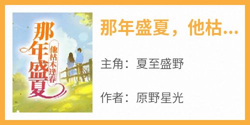 免费完结小说《那年盛夏，他枯木逢春夏至盛野》无弹窗免费阅读